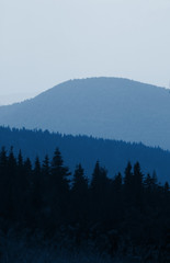 Naklejka premium Vertical landscape, background of forest hills in the mountains, classic blue 2020 color, trendy monochrome toning