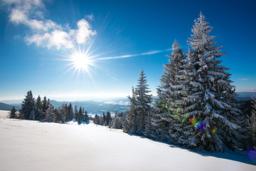 Mesmerizing winter landscape with a snowy slope