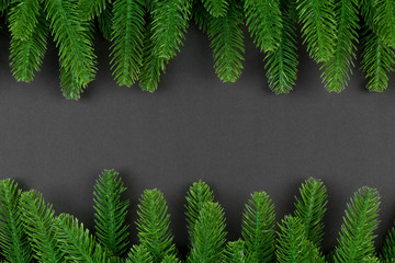Top view of colorful background made of green fir tree branches. New year holiday concept with copy space