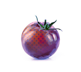 Tomato illustration with star pattern isolated on white background