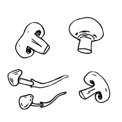 Graphic illustration, mushroom cut and whole, sketch, drawing, simple, easy, elementary, primitive, black lines on white. For kitchen decor, menu.