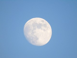 Beautiful caption of the moonlight by day with an incredible blue sky in the background.