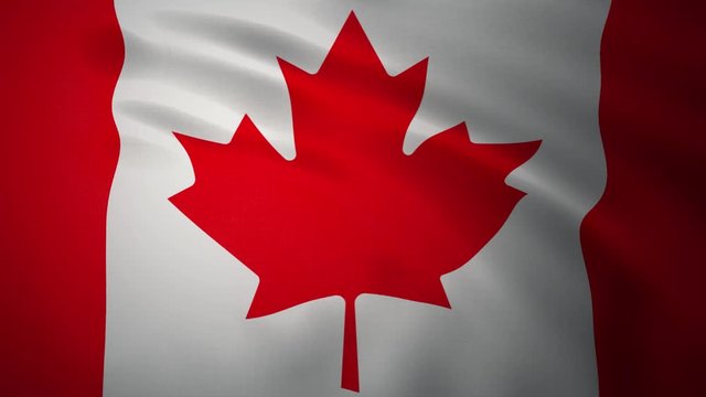 Waving flag of Canada. Realistic close up slow motion 3D animation