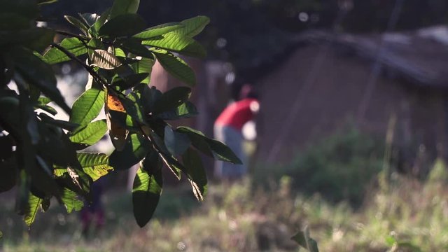 Leaves in foreground of African children playing and woman gardening