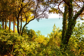 View on Adriatic sea through the rich green overgrown forest on the mountains in Numana, Region of Marche in Italy