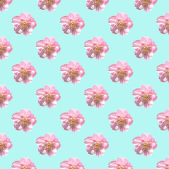 Fototapeta premium Seamless pattern of sakura flowers on green pastel background,design for wallpaper ,card, backdrop or advertisement cutout