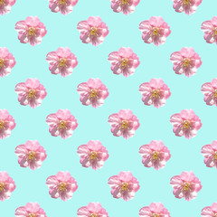 Seamless pattern of sakura flowers on  green pastel background,design for wallpaper ,card, backdrop or advertisement cutout