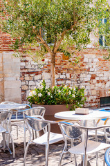 Young olive tree growing in a big flowerpot with blooming flowers on the street with red bricks wall on the background and metal tables and chairs standing outdoors on foreground in Numana
