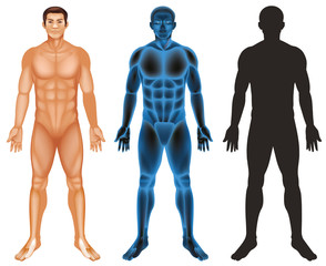 Human body on white background