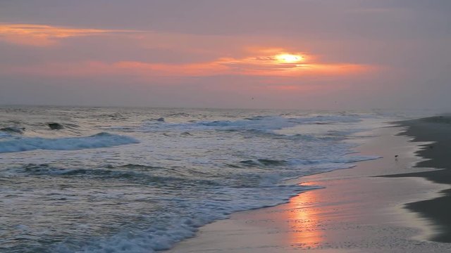 A beautiful full sunset over breaking ocean waves on Gulf of Mexico Florida beach on a vacation by the sea is featured in this long play video footage with pink and gold tones