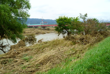 Flood damage caused by typhoon 19 