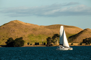 Catamaran in the Huaraki Gulf of New Zealand.
