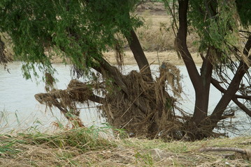 Flood damage caused by typhoon 19 