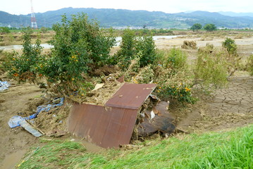 Flood damage caused by typhoon 19 