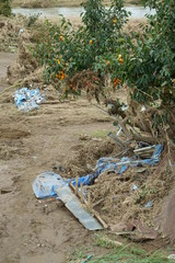 Flood damage caused by typhoon 19 
