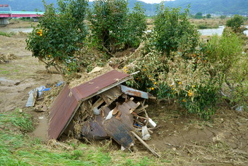 Flood damage caused by typhoon 19 "Hagibis"