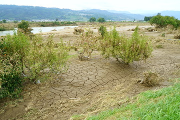 Flood damage caused by typhoon 19 