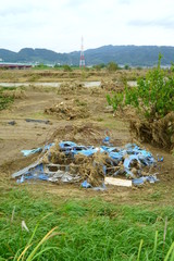 Flood damage caused by typhoon 19 