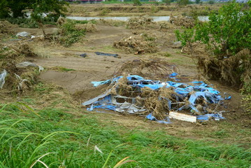 Flood damage caused by typhoon 19 