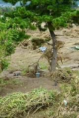 Flood damage caused by typhoon 19 