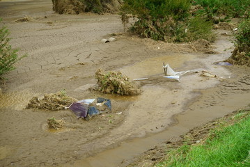Flood damage caused by typhoon 19 