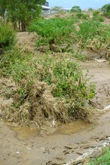 Flood damage caused by typhoon 19 
