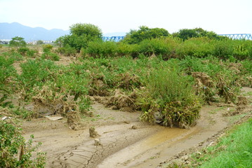 Flood damage caused by typhoon 19 