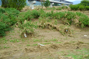 Flood damage caused by typhoon 19 