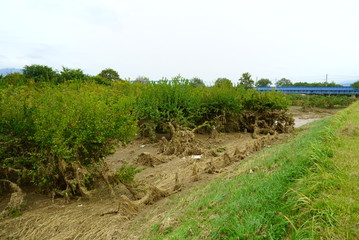 Flood damage caused by typhoon 19 