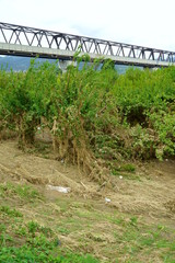 Flood damage caused by typhoon 19 