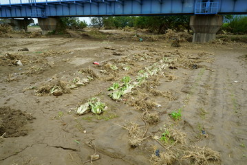 Flood damage caused by typhoon 19 