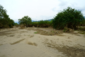 Flood damage caused by typhoon 19 