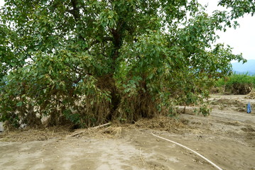 Flood damage caused by typhoon 19 