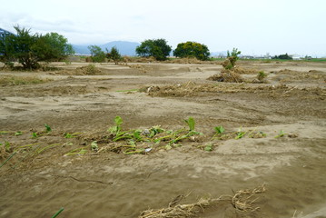 Flood damage caused by typhoon 19 
