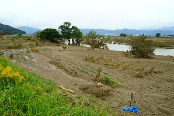 Flood damage caused by typhoon 19 