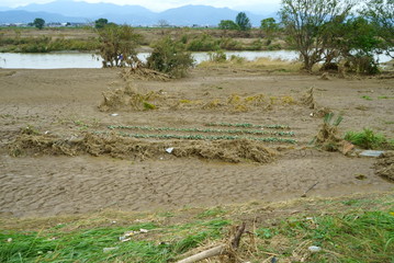 Flood damage caused by typhoon 19 