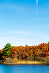 Obraz premium mage of Peak Foliage taken in New Hampshire in New England