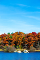 Obraz premium mage of Peak Foliage taken in New Hampshire in New England