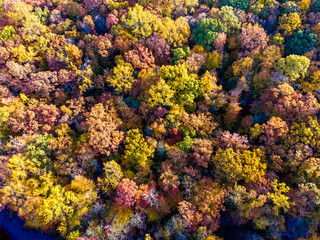 Naklejka na ściany i meble Aerial Photo Taken in New England During Peak Foliage in the Autumn Season