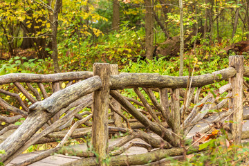 Central Park New York City Bridge in the Autumn