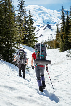 Climbers  approach Mount Rainier, Mount Rainier National Park, Washington, USA