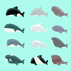 sea mammals set