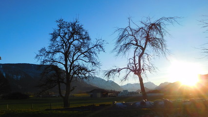 Fototapeta premium Winterlandschaft bei Ohlstadt in den Alpen