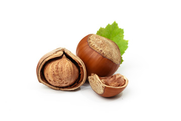 Hazelnut nut many leaves isolated on a white background as a packaging design element