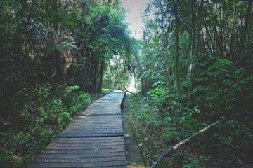 wooden bridge in forest.