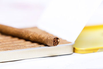 Box of cigarillos on a white background. On the box is one cigarillo. Selective focus. Close up