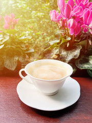  A white cup coffee in morning sunlight with pink flowers background
