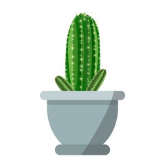 Potted cute cactus vector isolated on white background