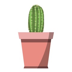 Cute green cactus plant vector icon in fachion flower pot isolated on white background