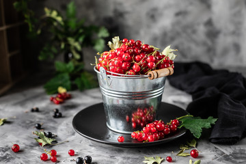 Fresh currants in a ceramic cup: red currants, selective focus. Place for text. Copy space.